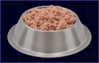 A suspicious bowl of dog food